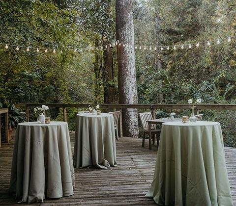 3 tables with green tablecloths set up