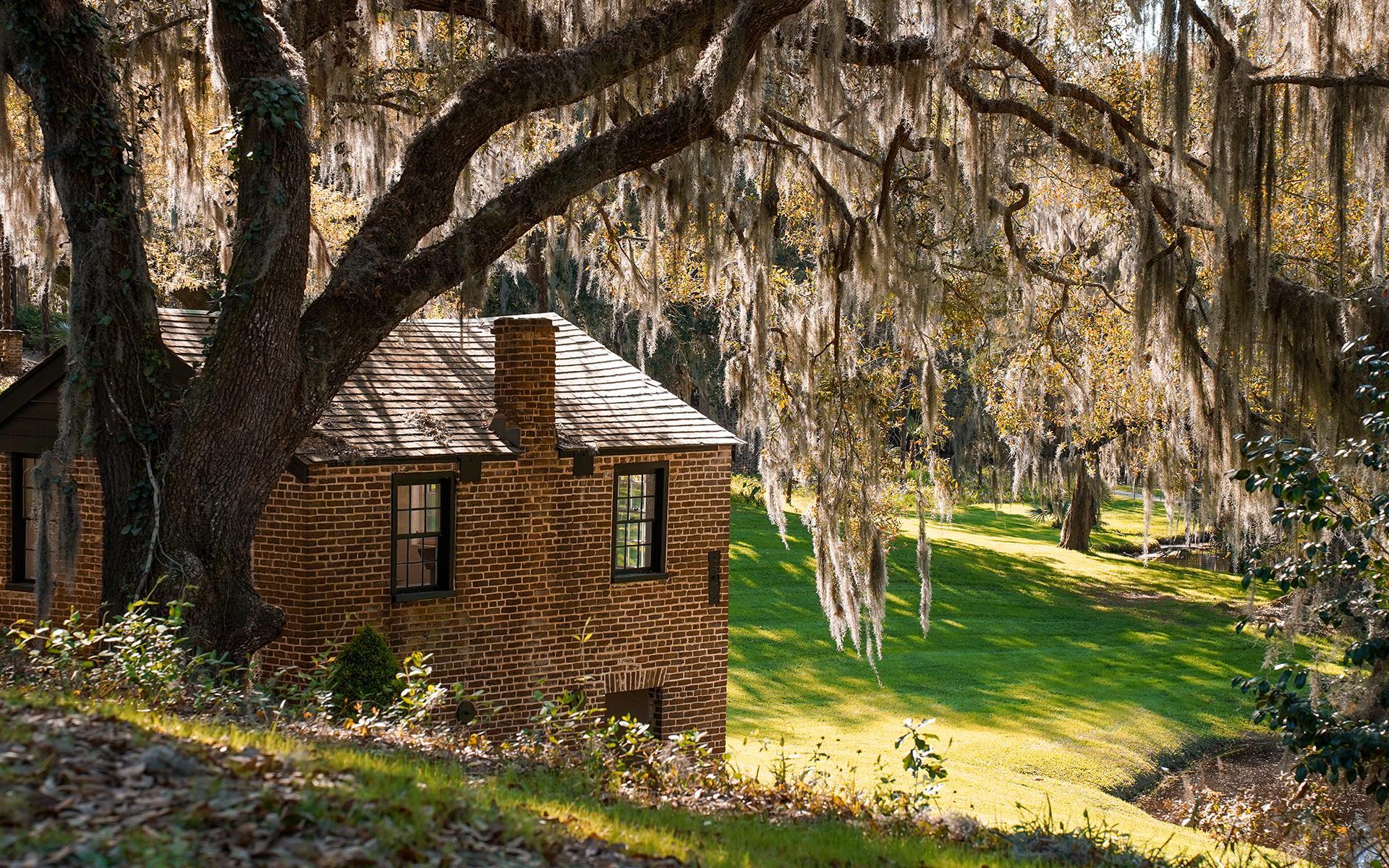 A house with a willow tree above it