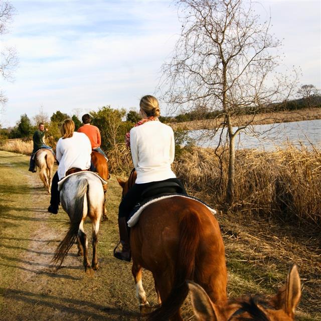 People riding on horses